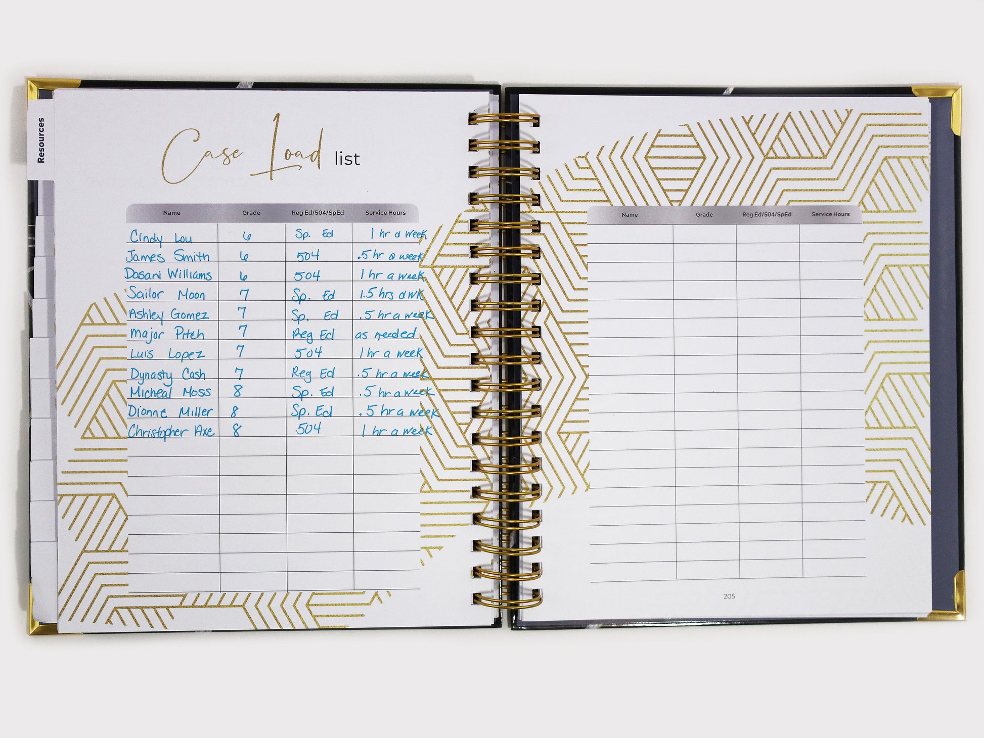 Open planner with 'Case Load' list on a white background