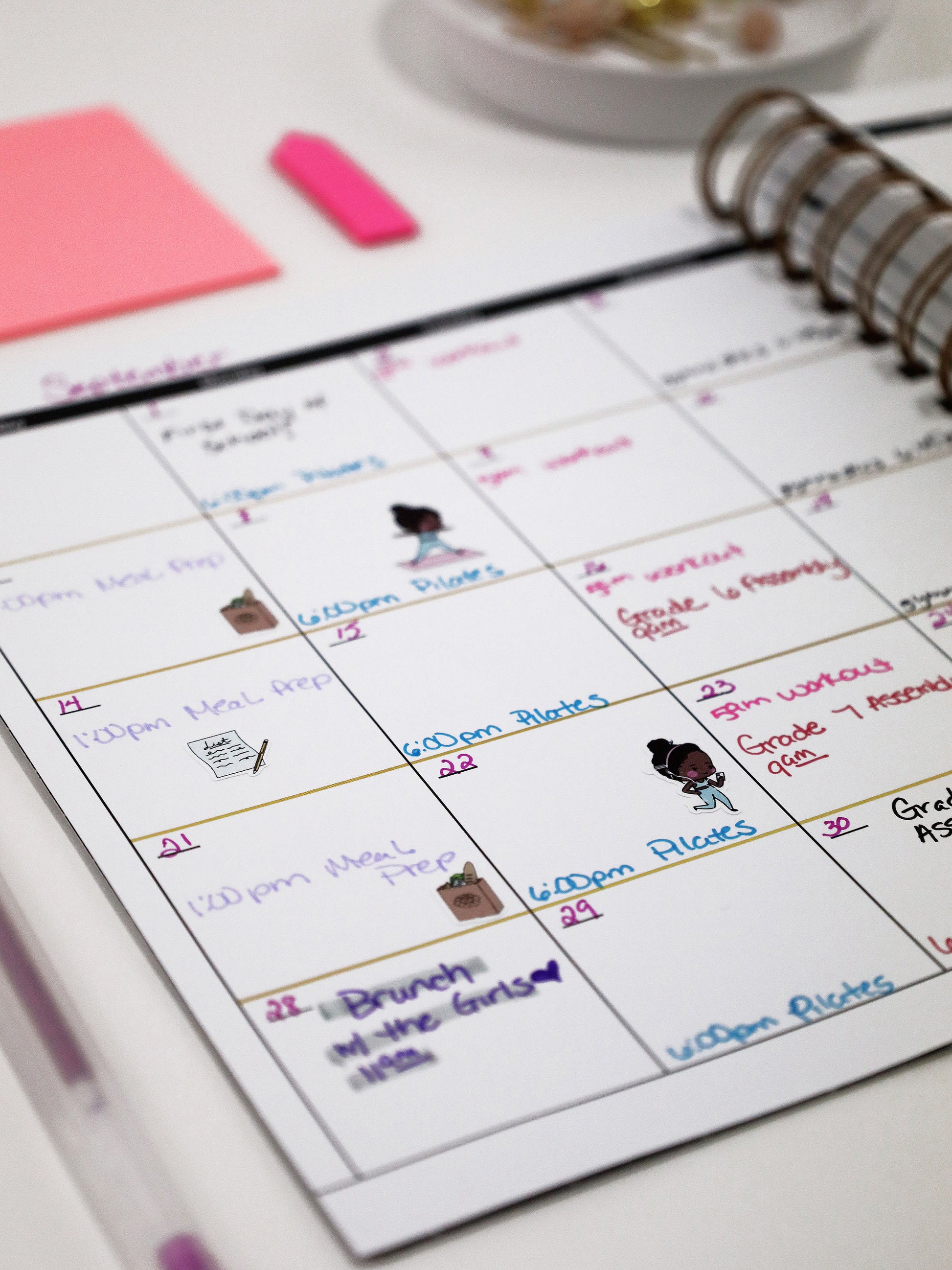 5th Year Limited Edition Planner